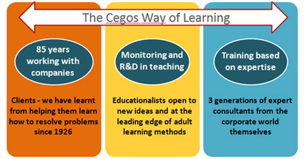 cegos-way-en