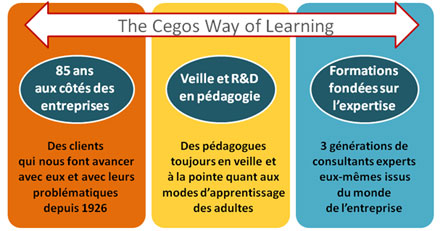 cegos-way-fr